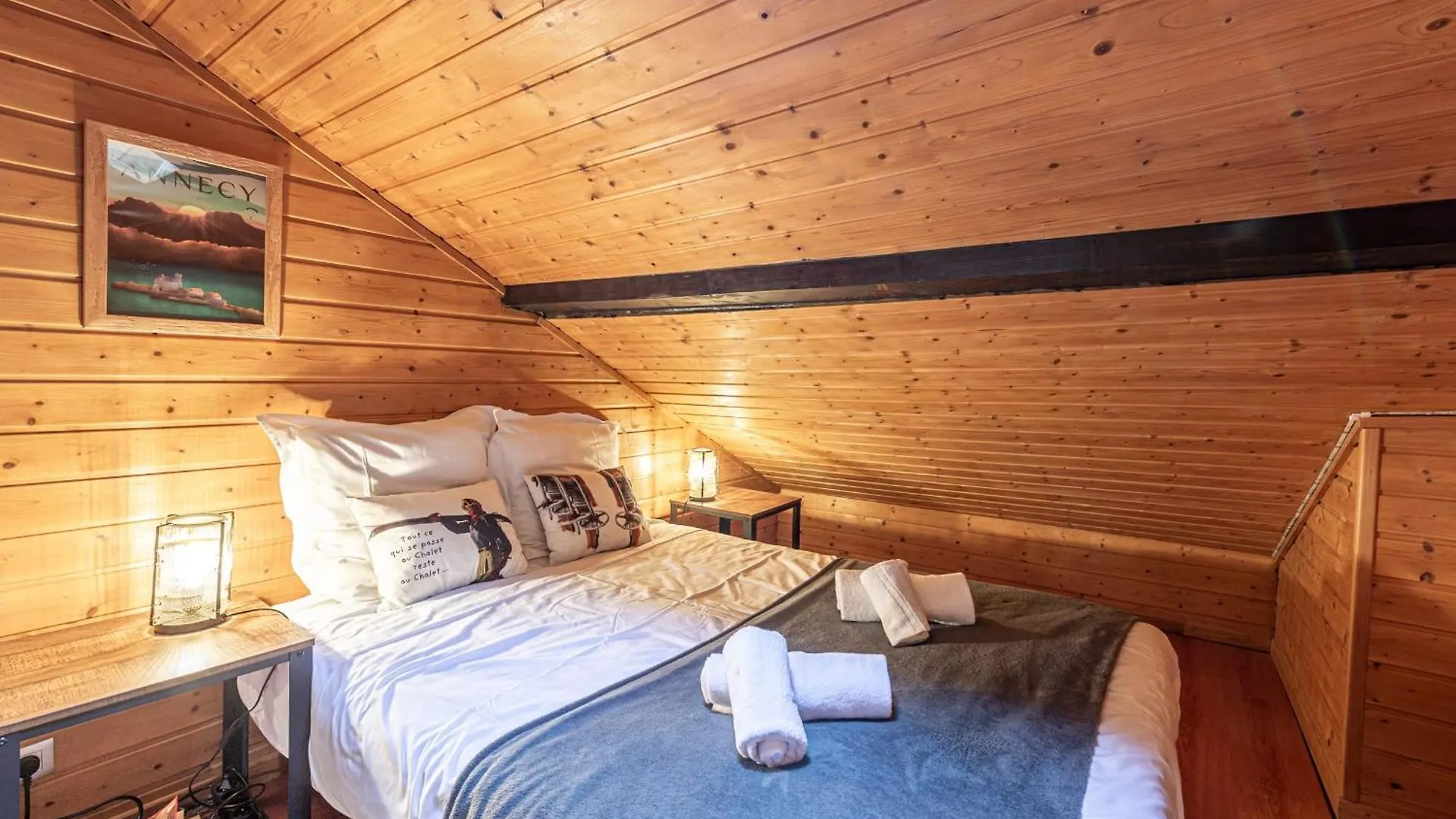 Lodge Et Castle Annecy